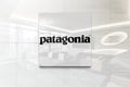 Patagonia on glossy office wall realistic texture